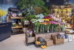花店吃瓜最新事件爆料,揭秘背后惊人真相