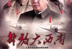解放大西南电视剧全集,烽火岁月里的英雄传奇