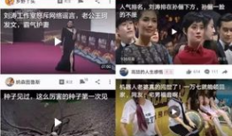 吃瓜热点事件爆料视频播放,揭秘热门事件爆料视频背后的播放奇迹