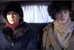 真假夫人 电视剧,爱恨纠葛，真相揭晓