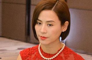 萱萱电视剧,穿越时空的守护者