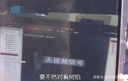 娱乐吃瓜酱偷电瓶,娱乐吃瓜酱的惊险一幕